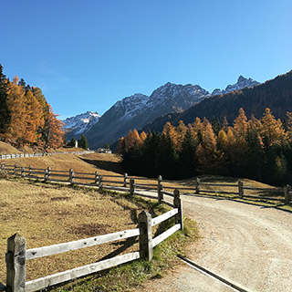 Wanderweg im Val di Campo